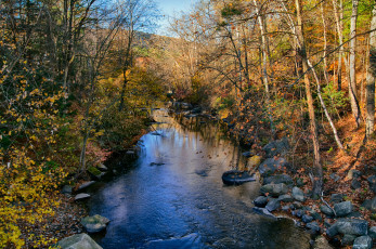 Картинка природа реки озера река лес