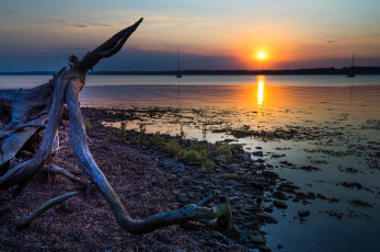 Картинка природа восходы закаты закат