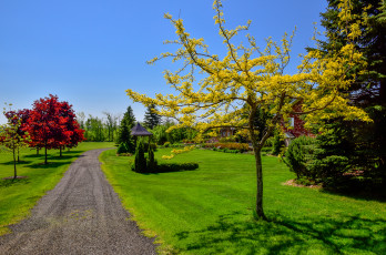 Картинка природа дороги листья парк деревья трава дорожка краски