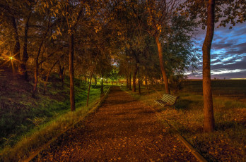 Картинка природа парк осень дорожка аллея