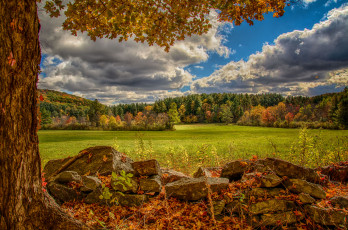 Картинка природа пейзажи поле лес осень