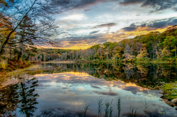 Картинка природа реки озера лес река