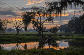 Картинка природа реки озера река лес