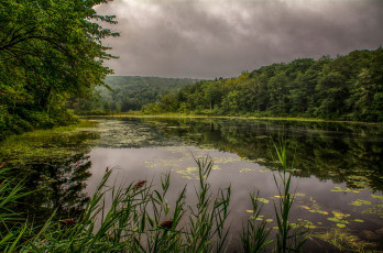 Картинка природа реки озера река лес