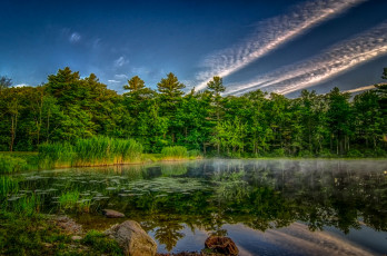 Картинка природа реки озера река лес