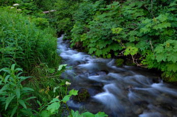 Картинка природа реки озера река лес