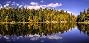 Картинка природа реки озера озеро деревья лес осень