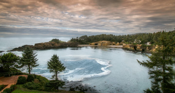 Картинка природа побережье лес бухта море