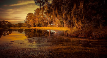 Картинка природа реки озера река лес