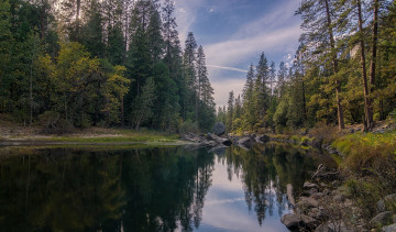 Картинка природа реки озера река лес