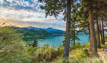 Картинка природа реки озера река лес