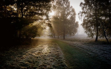 Картинка природа дороги вечер осень иней