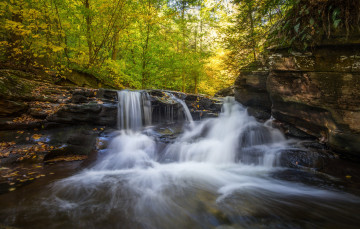 Картинка природа водопады водопад река лес