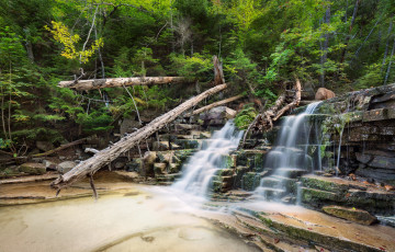 Картинка природа водопады лес река водопад