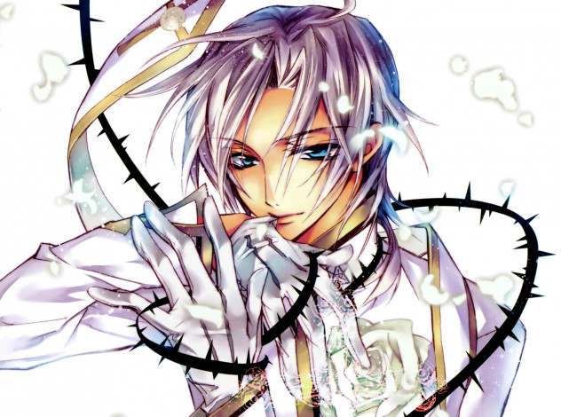 Обои картинки фото аниме, kiss of rose princess, шипы, перчатки, голубые, глаза, mitsuru, tenjoh, kiss, of, rose, princess, aya, shouoto, art