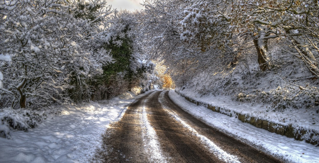 Обои картинки фото природа, дороги, дорога, зима, лес