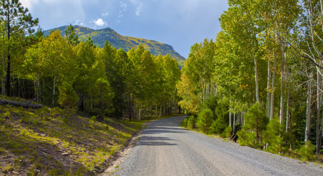 Обои картинки фото природа, дороги, горы, лес, шоссе