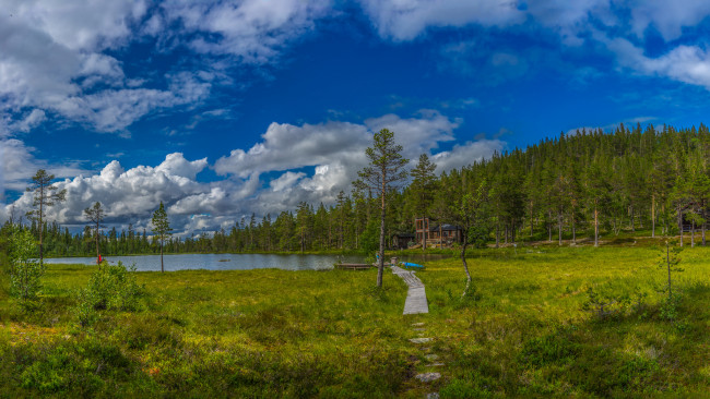 Обои картинки фото природа, реки, озера, река, лес