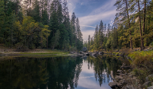 Обои картинки фото природа, реки, озера, река, лес