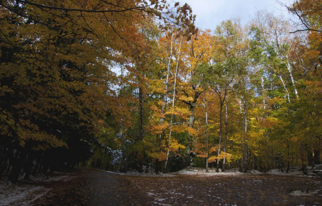 Обои картинки фото природа, дороги, шоссе, лес