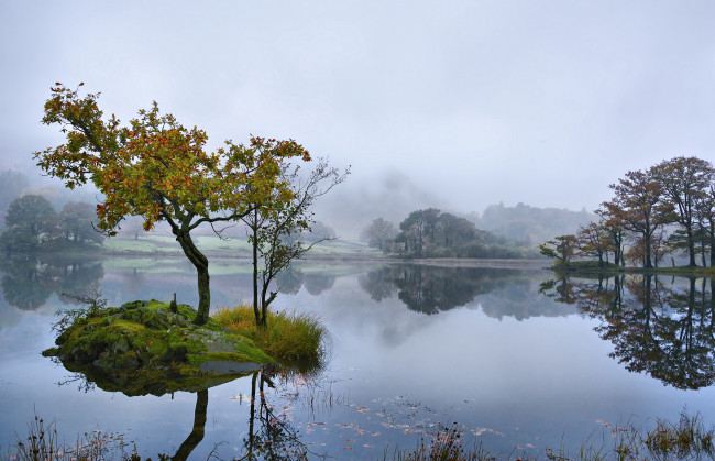 Обои картинки фото природа, реки, озера, река, лес