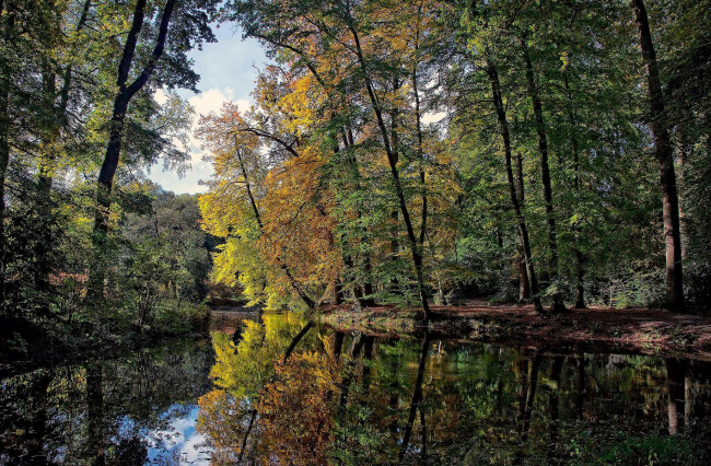 Обои картинки фото природа, реки, озера, река, лес