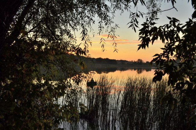 Обои картинки фото природа, реки, озера, лес, река