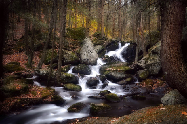 Обои картинки фото природа, реки, озера, река, лес