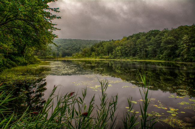 Обои картинки фото природа, реки, озера, река, лес