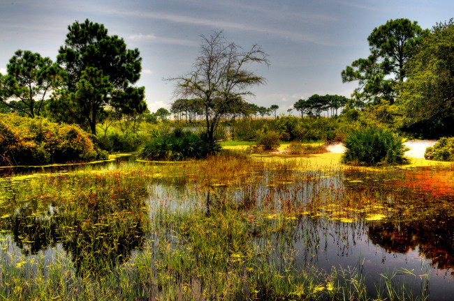 Обои картинки фото природа, реки, озера, лес, река