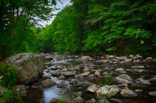 Обои картинки фото природа, реки, озера, лес, река