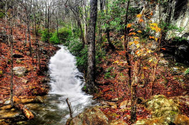 Обои картинки фото природа, реки, озера, река, лес