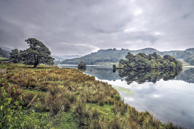 Обои картинки фото природа, реки, озера, лес, река