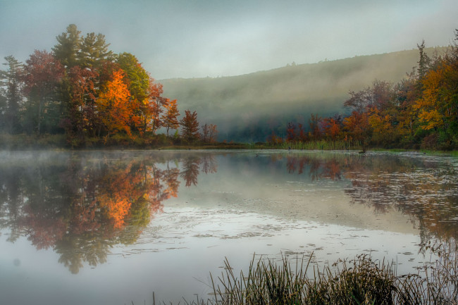 Обои картинки фото природа, реки, озера, река, лес