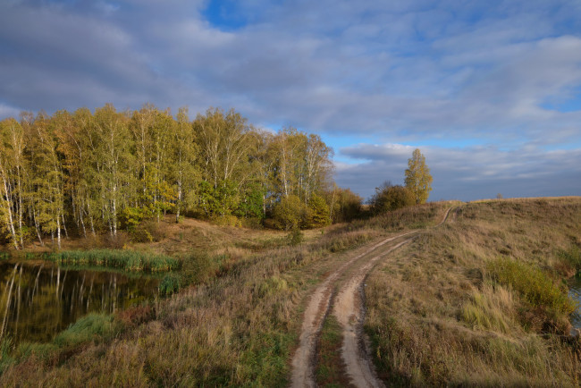 Обои картинки фото природа, дороги, колея, поле, лес