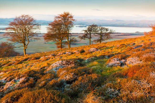 Обои картинки фото природа, пейзажи, деревья, пейзаж, иней, осень, горы, холмы, трава, озеро