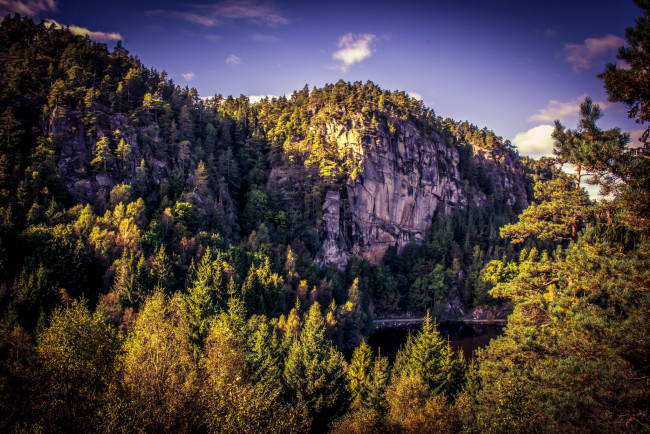 Обои картинки фото природа, реки, озера, река, лес