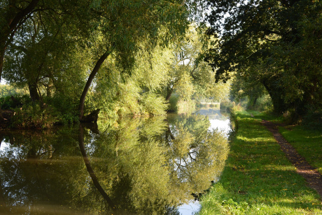 Обои картинки фото природа, реки, озера, река, лес