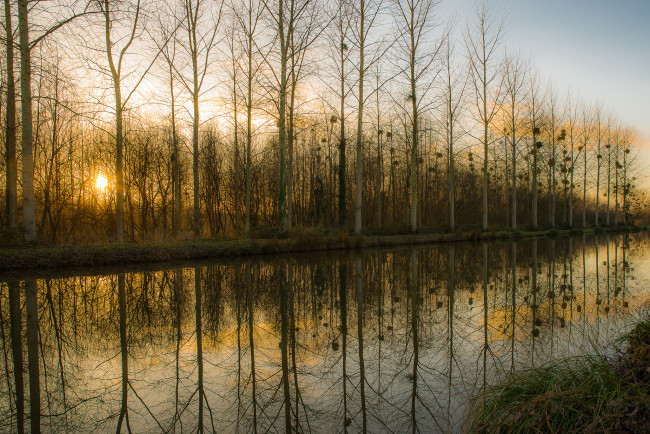 Обои картинки фото природа, реки, озера, река, лес