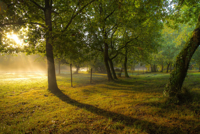 Обои картинки фото природа, восходы, закаты, утро