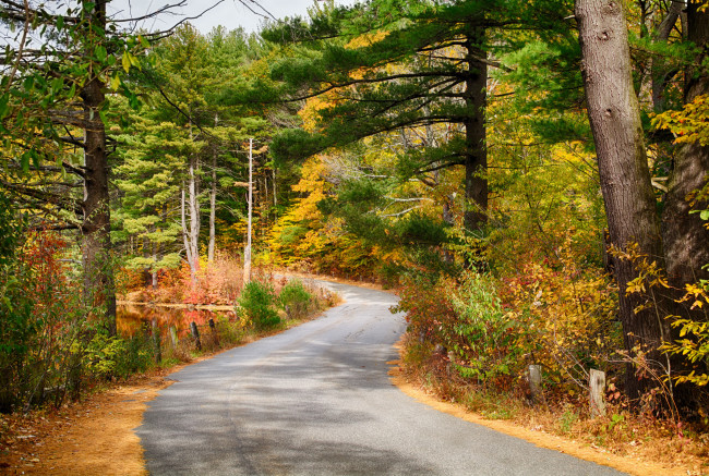 Обои картинки фото природа, дороги, дорога, лес