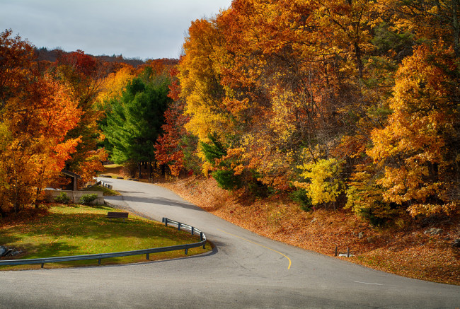 Обои картинки фото природа, дороги, дорога, лес