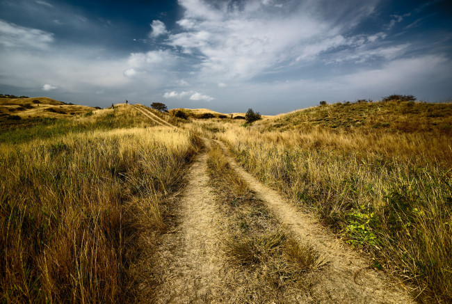 Обои картинки фото природа, дороги, колея, поле