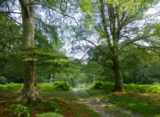 Картинка природа дороги тракт