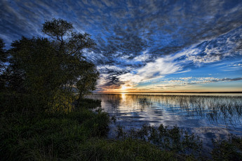 Картинка природа реки озера лес река