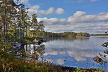 Картинка природа реки озера река лес