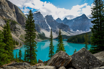 Картинка природа реки озера река лес