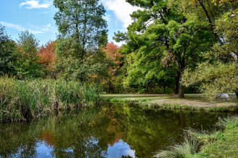 Картинка природа реки озера река лес