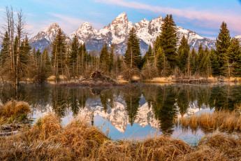 Картинка природа реки озера река лес