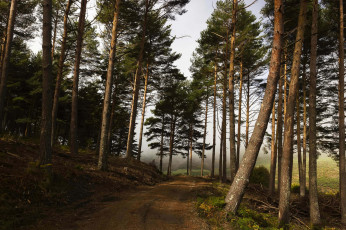 Картинка природа дороги тракт